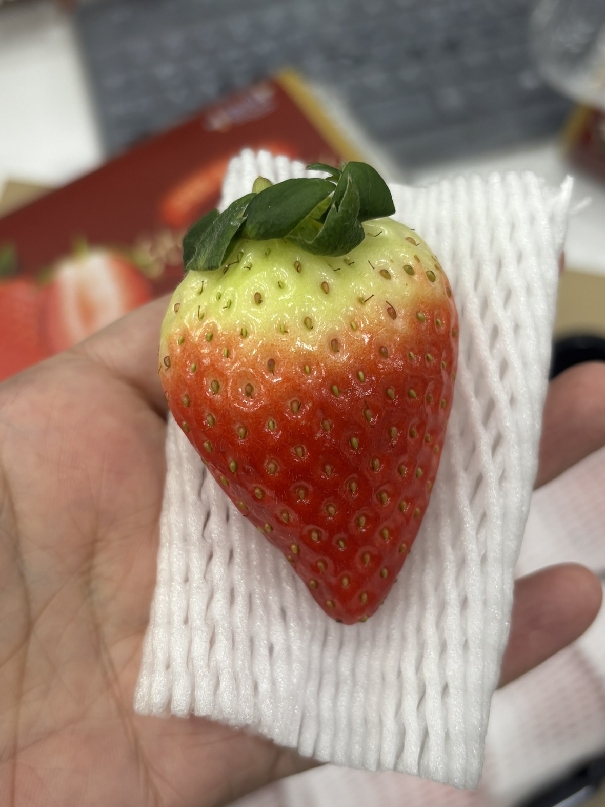 곡성군, '매일 만나는 소아과' 상시 진료