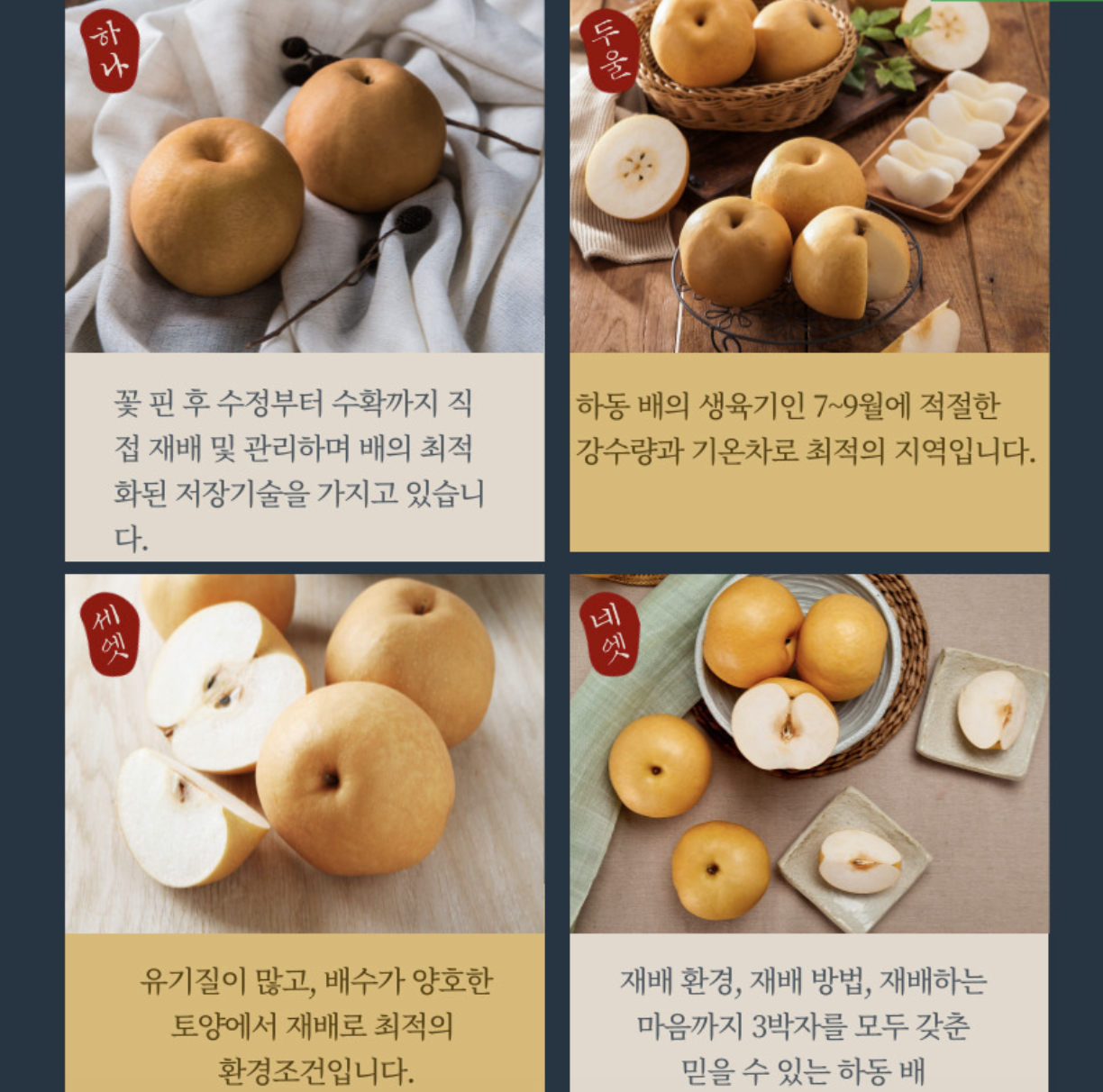 고향사랑기부제, 고향사랑기부, 연말정산, 세액공제, 답례품, 미세먼지에좋은음식, 미세먼지, 배도라지, 하동배