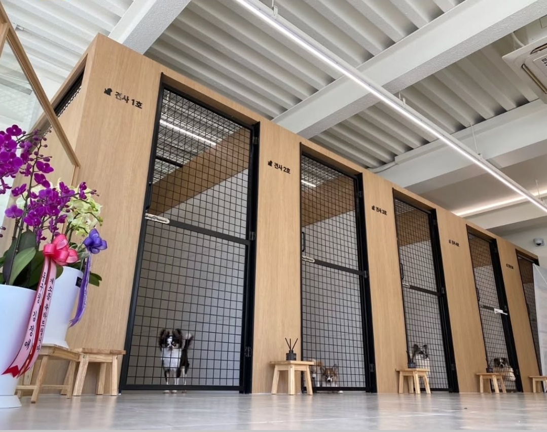 광주 동구 유기견 보호소 피스멍멍 견사