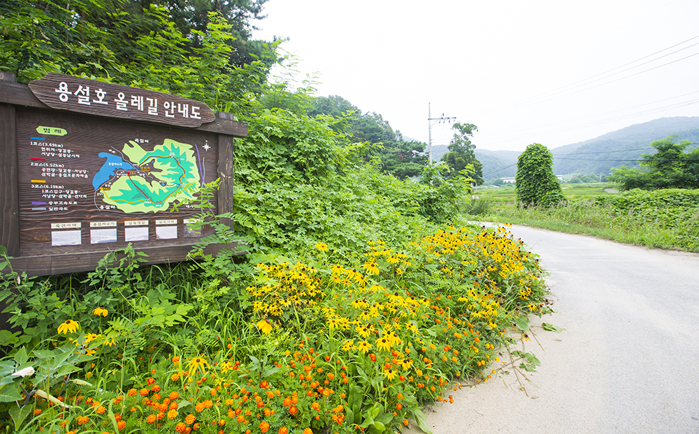 용설호 문화마을, 안성 농촌체험