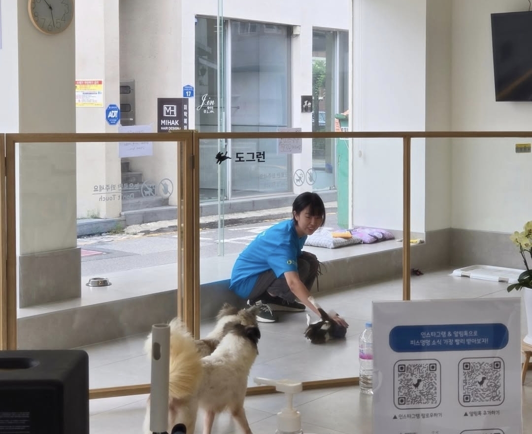 광주 유기견 보호소 피스멍멍 도그런 공간