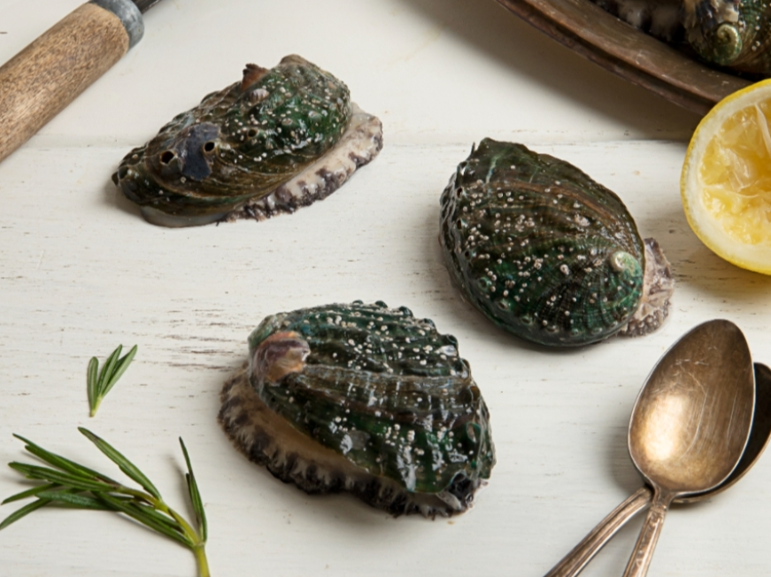 고향사랑기부제, 고향사랑기부, 세액공제, 답례품, 전복손질법, 전복고르는법, 활전복, 진도전복, 전라남도진도군, 위기브